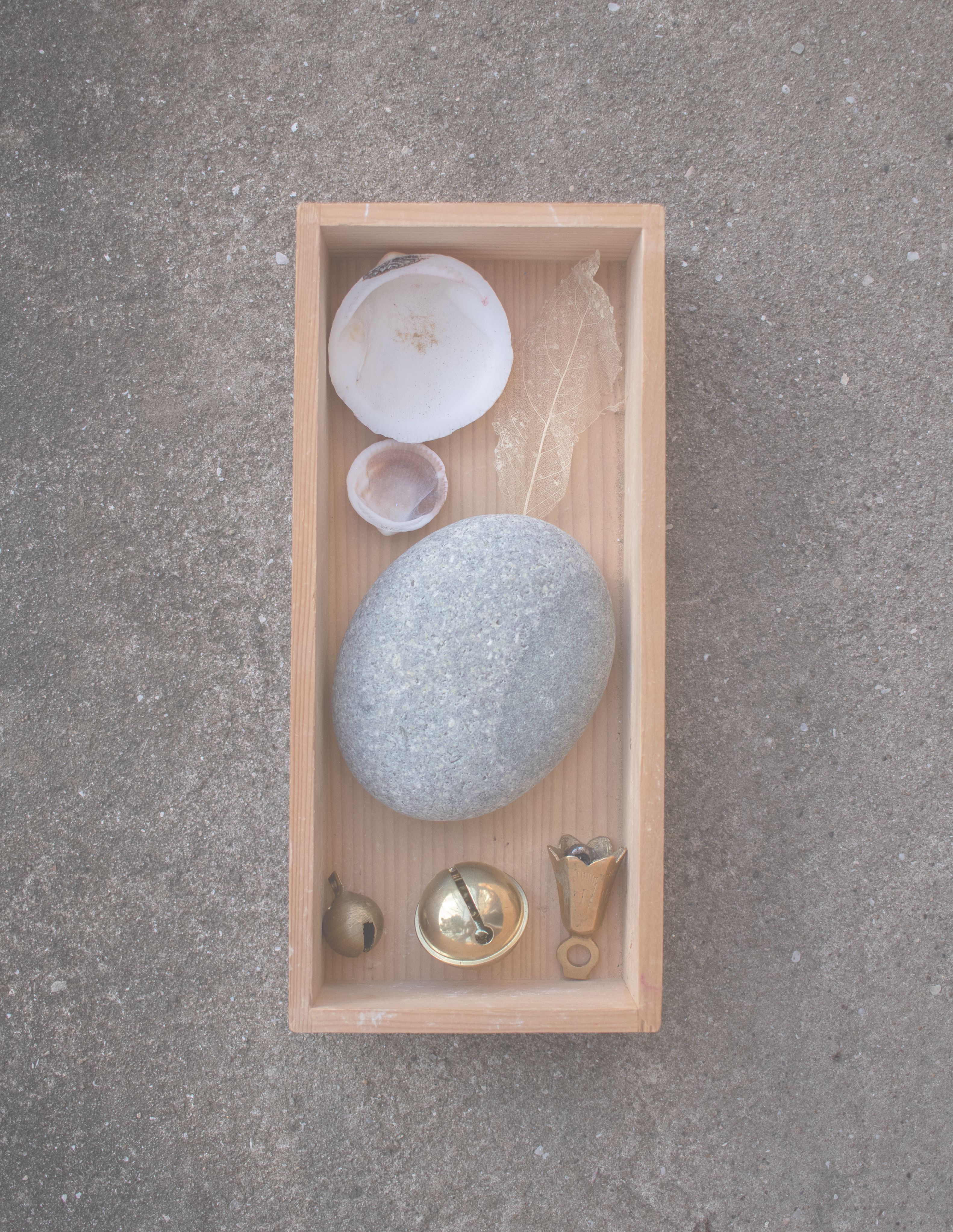 A wooden box holds a collection of shells, feathers, stones, and bells